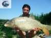 Pino Capomolla