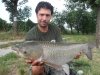 Pino Capomolla