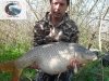 Pino Capomolla