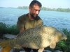 Pino Capomolla