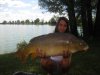 Una bellissima mirror carp per Chiara Cavalletti