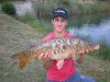 Una particolare carpa mirror