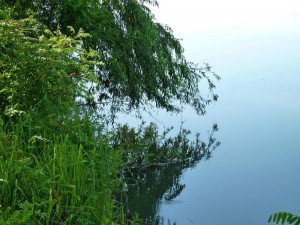 Ottimo punto dove lanciare l'innesco