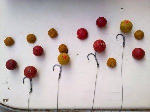 La scelta degli ami