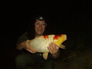 Sessione Lago Marchi