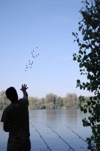 Il giorno perfetto