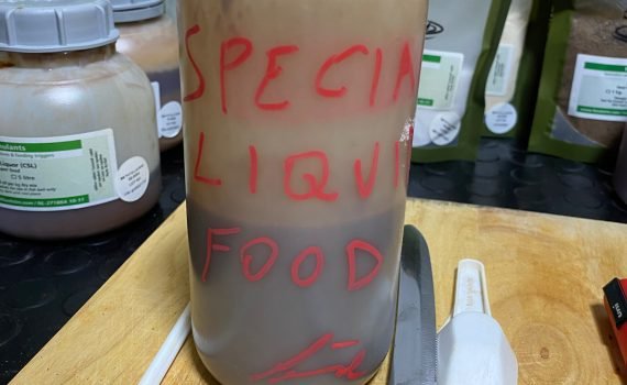Special liquid food