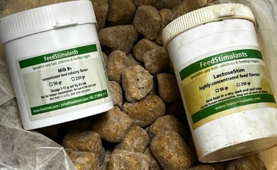 Replica del Famoso Mix Cream Cajouser di Nutrabaits: Attrattività Istantanea per Sessioni di Breve Durata
