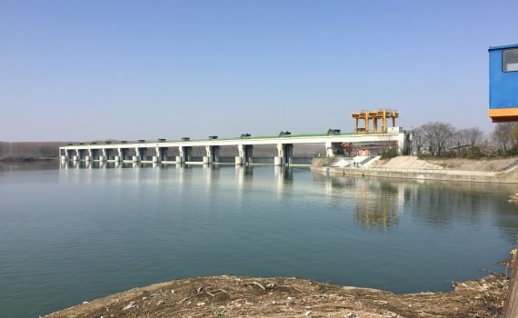 Isola Serafini: tra energia pulita e rinascita ecologica, la scalata dei pesci che riconcilia uomo e natura
