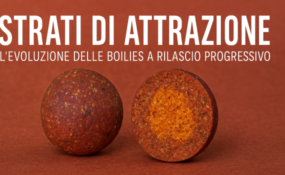 Strati di Attrazione - Il Futuro delle Boilies Passa dalla Stratificazione
